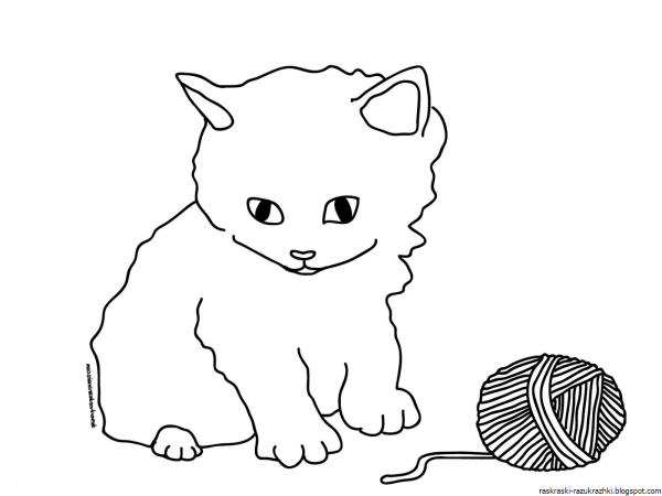 Рисунки котят для срисовки