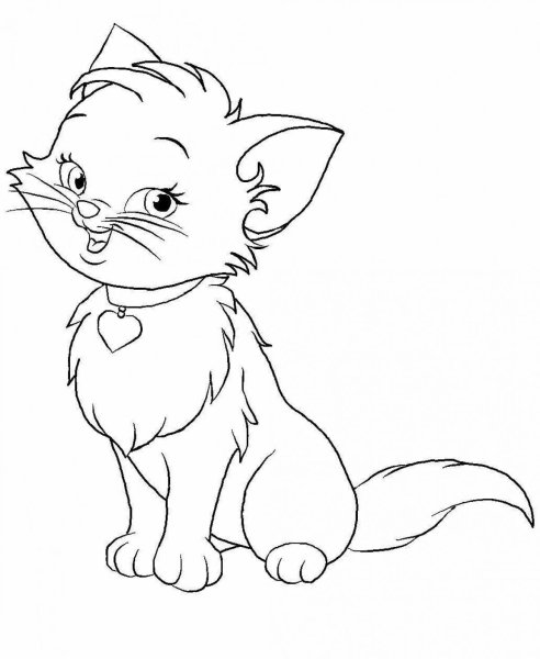 Кошка раскраска для детей