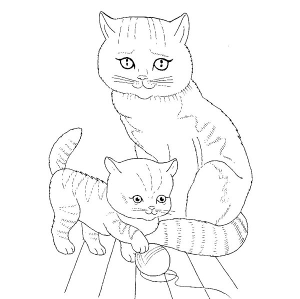 Кошка раскраска для детей