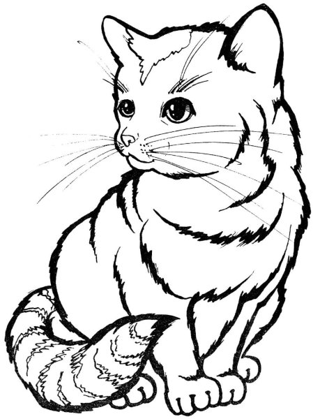 Раскраска маленькая кошечка