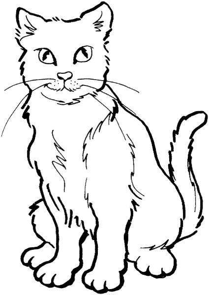 Раскраски котики маленькие