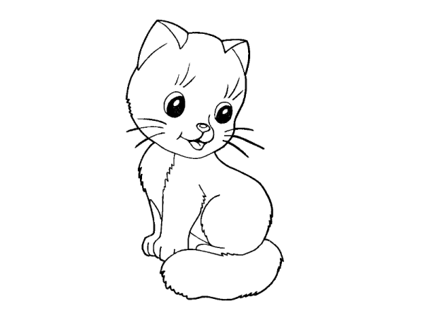Раскраска котенок полосатый
