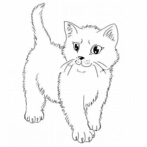 Милые кошечки раскраска