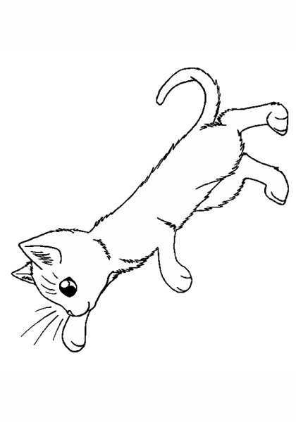Кошки. Раскраска