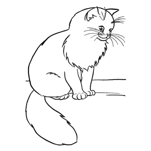 Кот Саймона. Раскраска