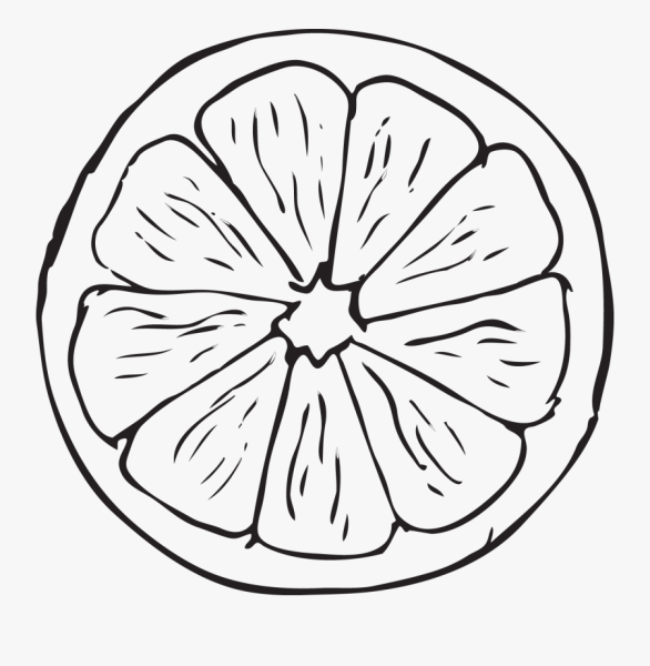 Апельсин раскраска