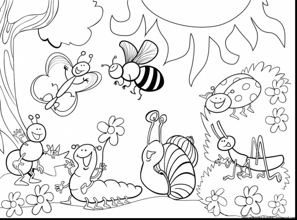 Насекомые раскраска для детей