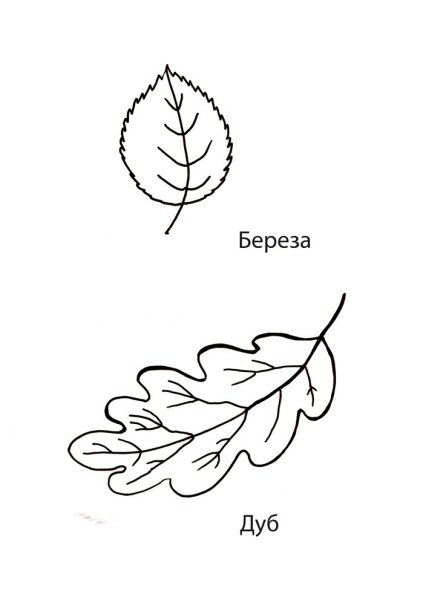 Лист каштана раскраска