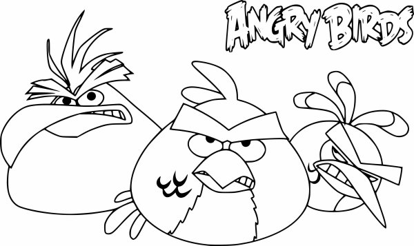 Птицы из Энгри бердз раскраски