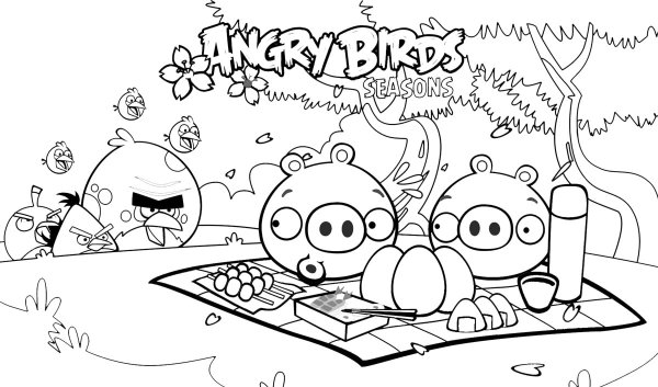 Раскраски Angry Birds Seasons