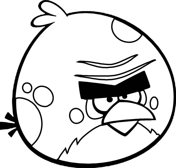 Энгри бердз Теренс раскраска