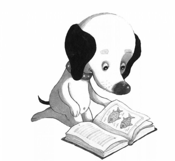 Умная собачка Соня