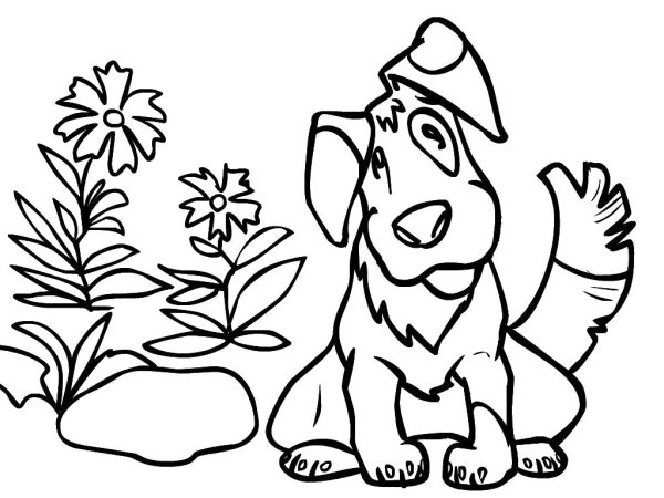 Раскраска "собаки"