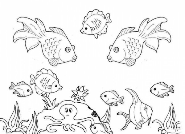 Аквариумные рыбки раскраска