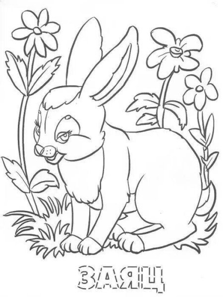 Лесные животные раскраска для малышей