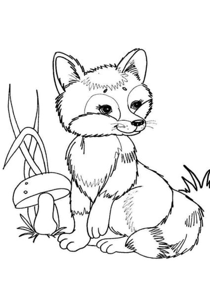 Лисичка раскраска для детей