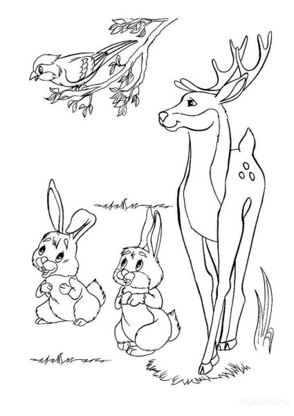 Раскраска Лесные животные