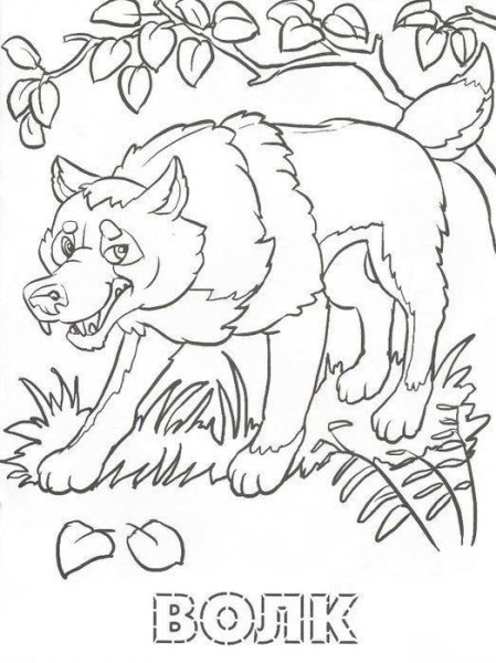 Раскраска "Лесные жители"