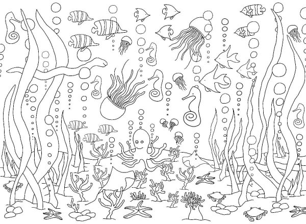 Картинки раскраски подводный мир (54 фото)