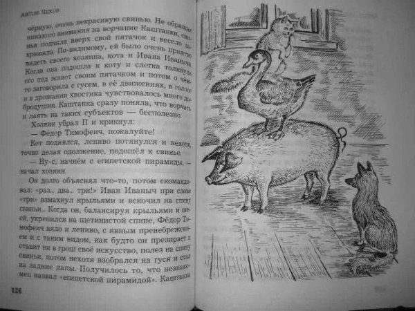 Каштанка раскраска