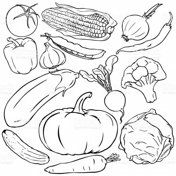 Овощи для борща раскраска для детей