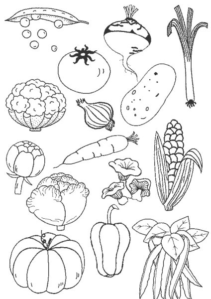 Картинки раскраски овощи фрукты (54 фото)