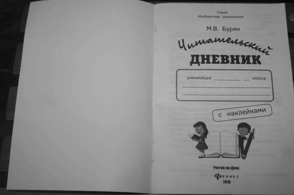 Читательский дневник обложка
