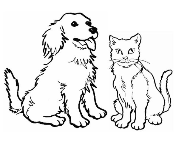 Кошки и собаки. Раскраска