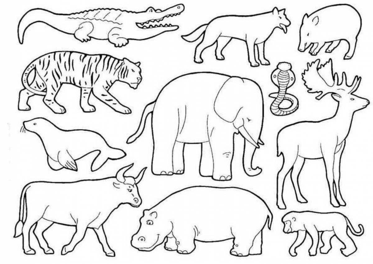 Животные группами раскраски