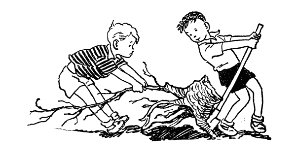 Рассказ Носова огородники