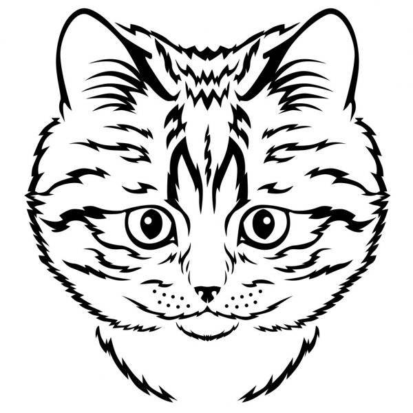 Голова кошки раскраска
