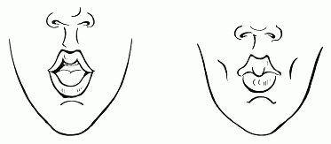 Рот артикуляционная гимнастика губы