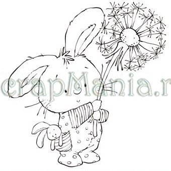 Зайка с одуванчиком