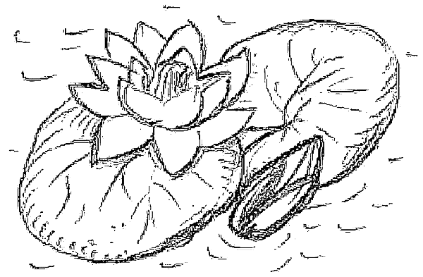 Раскраска Иван Купала для детей