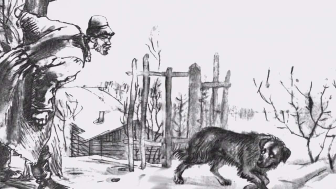  49 