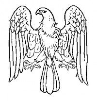 Финист Ясный Сокол раскраска