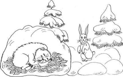 Мишка в берлоге раскраска