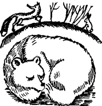 Медведь в берлоге раскраска для детей