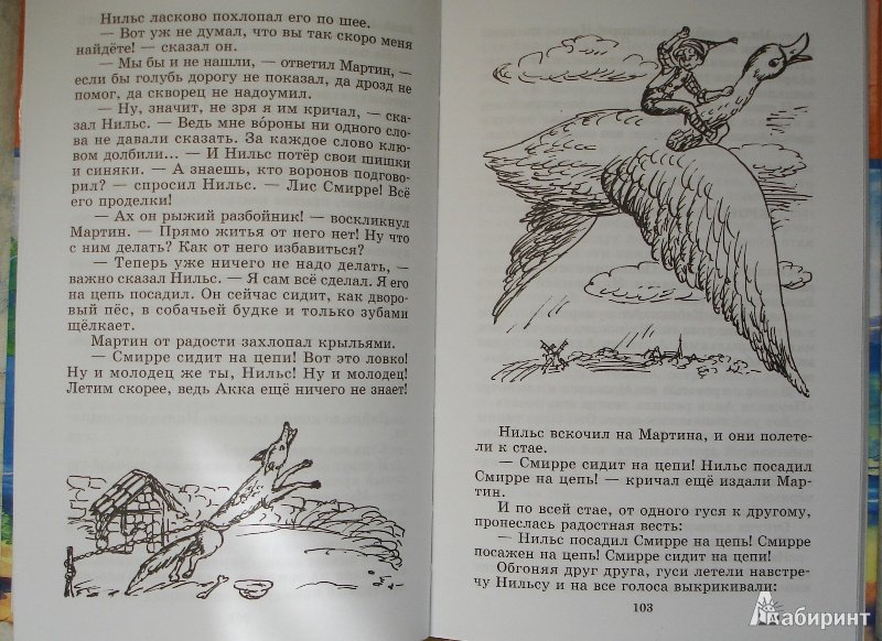 Отзыв нильса с дикими. Чудесные приключения Нильса с дикими гусями книга иллюстрации. Чудесное путешествие Нильса книга.