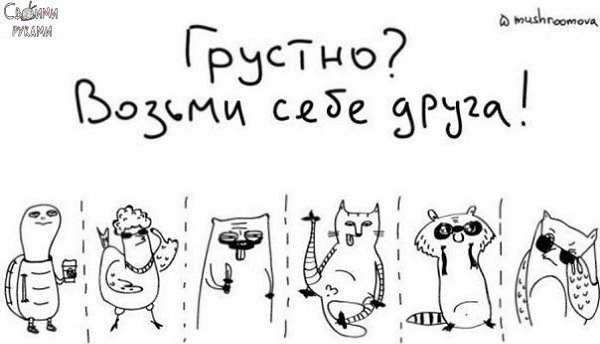 Забавные объявления для поднятия настроения