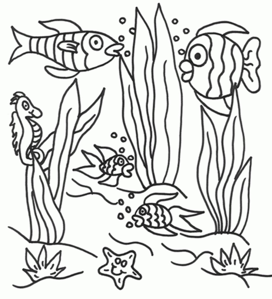 Морское дно раскраска. Подводный мир раскраска для детей. Подводное царство раскраска для детей. Морское дно раскраска для детей. Раскраска водой картинка