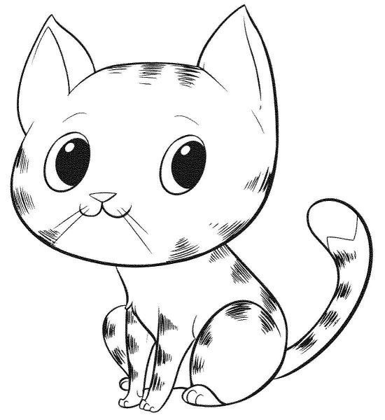 Раскраска. Котики