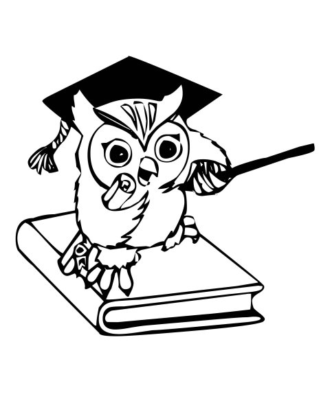 Сова с книгой раскраска