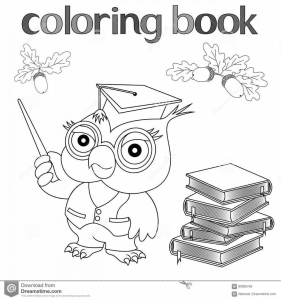 Сова с книгой раскраска