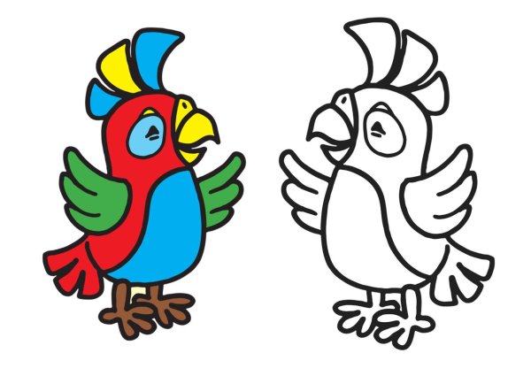 Цветные раскраски для детей