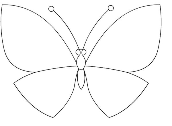 Бабочка сбоку контур