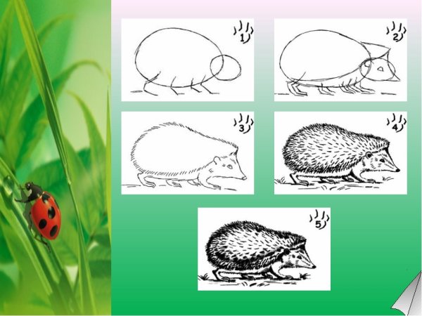 Иллюстрации к страшному рассказу Чарушина