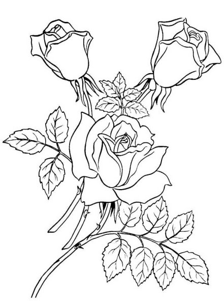 Buchet de trandafiri easy drawings