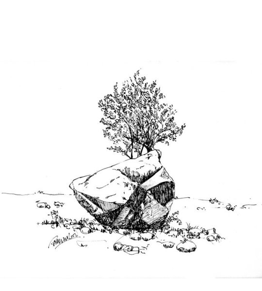 Горячий камень Гайдар раскраска