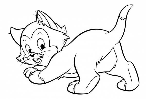 Картинки раскраски